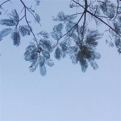 圣光之战无限钻石金币版下载
