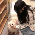 十二战纪手游下载